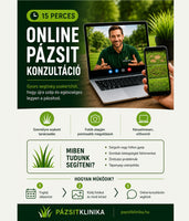 Online gyepápolási tanácsadás - 15 perc